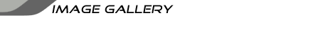Image Gallery